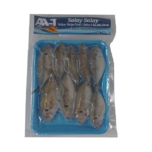 AA-1 Salay YellowStripeScad