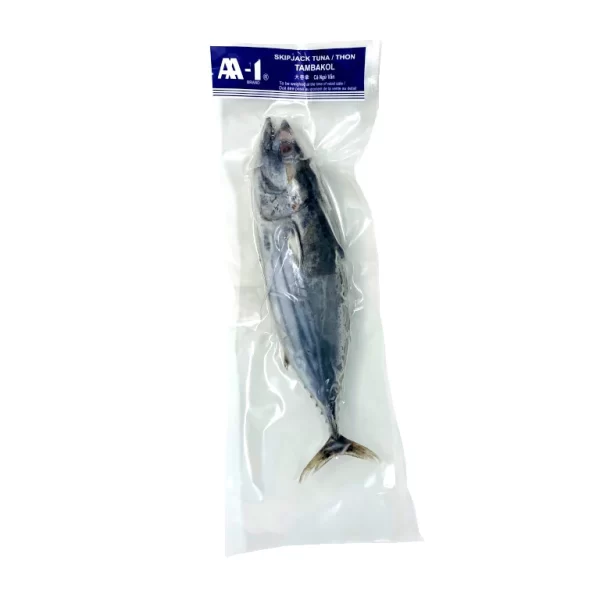 AA-1 (Tambakol) Big Tuna