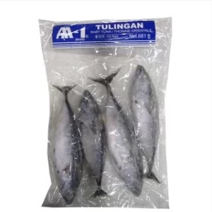 AA-1 Tulingan Baby Tun