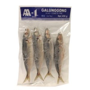 AA-1 Roundscad Galungong