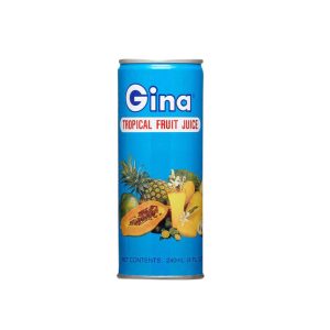 Gina Tropical Juice 30x240ml