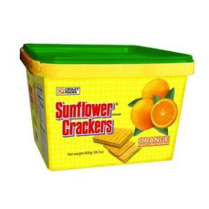 Sunflower Orange Tub